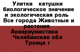 Улитки – катушки: биологическое значение и экологическая роль - Все города Животные и растения » Аквариумистика   . Челябинская обл.,Троицк г.